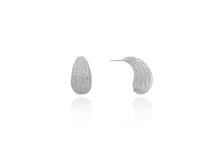 Load image into Gallery viewer, Crescent Moon Earrings for Women
